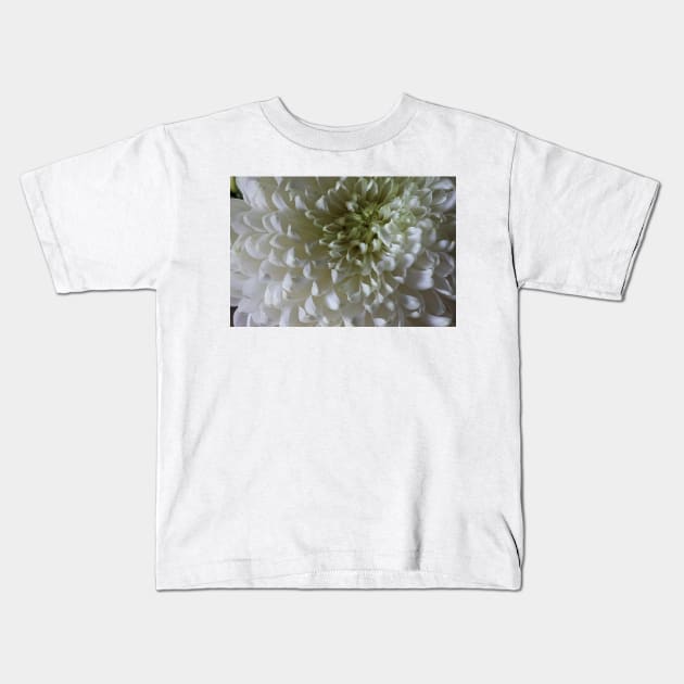 Classic Chrysanthemum Kids T-Shirt by Violaman